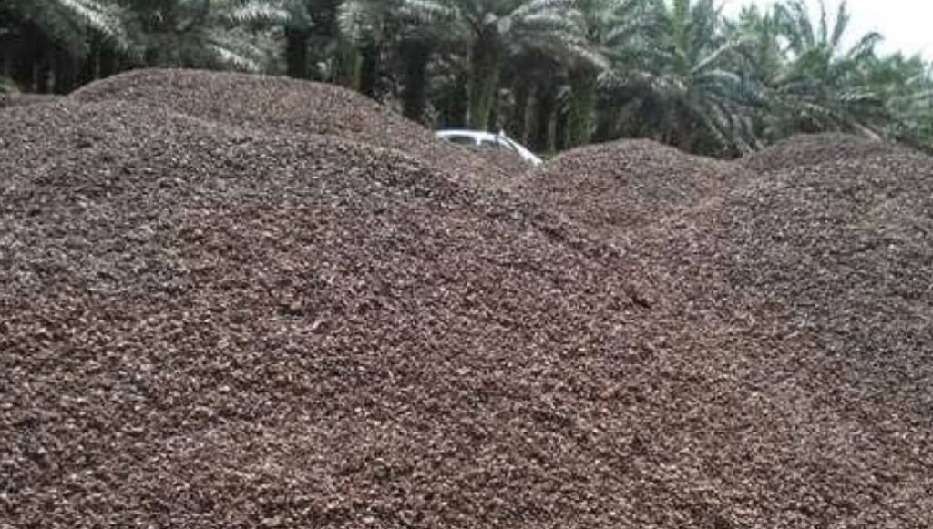 what is biomass